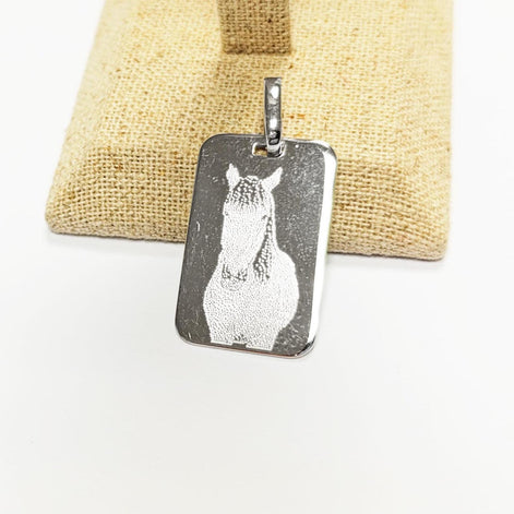 Laser Engraving Special - vectorized picture only